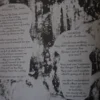 Nothing remains grey - 1 x 7" Single (Vinyl) Germany - 1992 – Bild 3