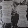 Nothing remains grey - 1 x 7" Single (Vinyl) Germany - 1992 – Bild 2